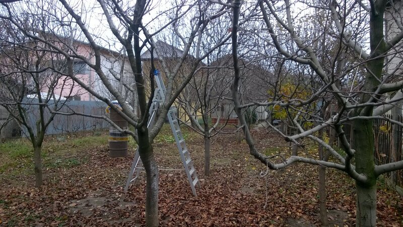 Chitila, Tudor Vladimirescu,