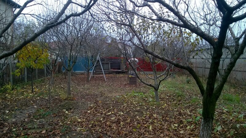 Chitila, Tudor Vladimirescu,