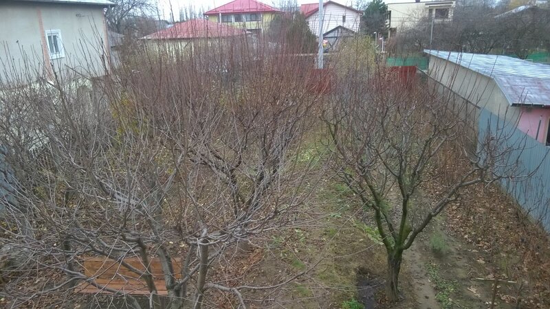 Chitila, Tudor Vladimirescu,